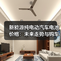 新能源纯电动汽车电池价格：未来走势与购车指南（图2）
