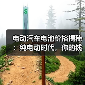 电动汽车电池价格揭秘：纯电动时代，你的钱包准备好了吗？（图4）