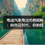 电动汽车电池价格揭秘：纯电动时代，你的钱包准备好了吗？（图3）