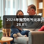 2024年我国电气化率达28.8%(图3) 2024年我国电气化率达28.8%(图3)