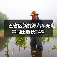 五省区新能源汽车充电量同比增长24%（图2）
