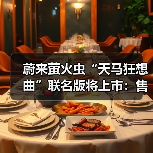 蔚来萤火虫“天马狂想曲”联名版将上市：售