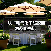 从“电气化率超欧美”看战略先机（图2）