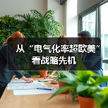 从“电气化率超欧美”看战略先机（图3）