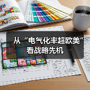 从“电气化率超欧美”看战略先机