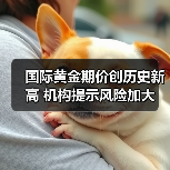 国际黄金期价创历史新高 机构提示风险加大