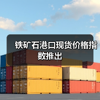 铁矿石港口现货价格指数推出（图3）