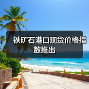 铁矿石港口现货价格指数推出