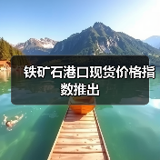 铁矿石港口现货价格指数推出（图2）