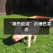 “黑色能源”的绿色革命（图2）