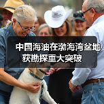 中国海油在渤海湾盆地获勘探重大突破（图3）