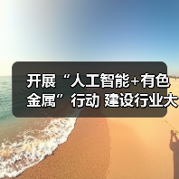开展“人工智能+有色金属”行动 建设行业大模型(图4) 开展“人工智能+有色金属”行动 建设行业大模型(图4)