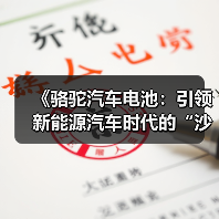 《骆驼汽车电池:引领新能源汽车时代的“沙漠之舟”》(图3) 《骆驼汽车电池:引领新能源汽车时代的“沙漠之舟”》(图3)