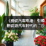 《骆驼汽车电池：引领新能源汽车时代的“沙漠之舟”》