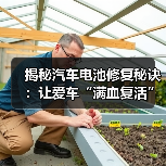 揭秘汽车电池修复秘诀:让爱车“满血复活”(图3) 揭秘汽车电池修复秘诀:让爱车“满血复活”(图3)