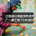 江苏徐圩核能供热发电厂一期工程1号机组即将FCD
