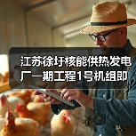 江苏徐圩核能供热发电厂一期工程1号机组即将FCD（图4）