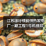 江苏徐圩核能供热发电厂一期工程1号机组即将FCD（图2）