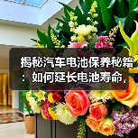 揭秘汽车电池保养秘籍:如何延长电池寿命,保障行车安全?(图3) 揭秘汽车电池保养秘籍:如何延长电池寿命,保障行车安全?(图3)