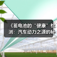 《蓄电池的“健康”检测:汽车动力之源的秘密》(图1) 《蓄电池的“健康”检测:汽车动力之源的秘密》(图1)