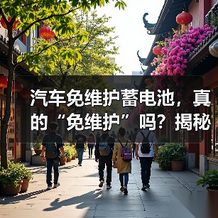 汽车免维护蓄电池，真的“免维护”吗？揭秘其寿命之谜（图2）