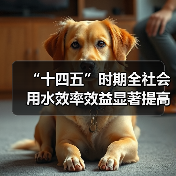 “十四五”时期全社会用水效率效益显著提高（图4）