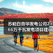 苏能白音华发电公司2×66万千瓦发电项目建设纪实（图2）