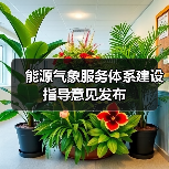 能源气象服务体系建设指导意见发布(图1) 能源气象服务体系建设指导意见发布(图1)