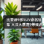 比亚迪9系SUV命名征集 大汉大唐唐9等候选（图3）