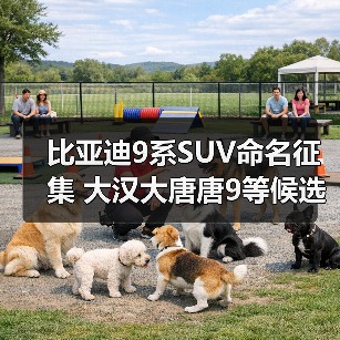 比亚迪9系SUV命名征集 大汉大唐唐9等候选