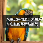 汽车启停电池:未来汽车心脏的革新与挑战(图1) 汽车启停电池:未来汽车心脏的革新与挑战(图1)