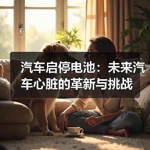 汽车启停电池:未来汽车心脏的革新与挑战(图2) 汽车启停电池:未来汽车心脏的革新与挑战(图2)