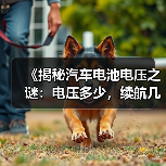 《揭秘汽车电池电压之谜:电压多少,续航几何?》(图3) 《揭秘汽车电池电压之谜:电压多少,续航几何?》(图3)
