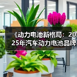《动力电池新格局:2025年汽车动力电池品牌排行榜揭秘》(图4) 《动力电池新格局:2025年汽车动力电池品牌排行榜揭秘》(图4)