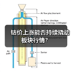 钴价上涨能否持续撬动板块行情?(图2) 钴价上涨能否持续撬动板块行情?(图2)