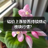 钴价上涨能否持续撬动板块行情？