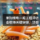 莱阳核电一期工程评估会取得关键突破，项目推进提速（图2）