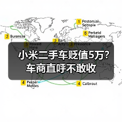 小米二手车贬值5万？车商直呼不敢收（图2）