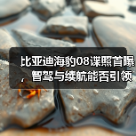 比亚迪海豹08谍照首曝,智驾与续航能否引领新潮流?(图4) 比亚迪海豹08谍照首曝,智驾与续航能否引领新潮流?(图4)