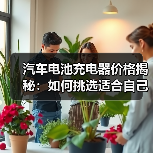 汽车电池充电器价格揭秘:如何挑选适合自己的充电器?(图1) 汽车电池充电器价格揭秘:如何挑选适合自己的充电器?(图1)