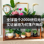 全球首个2000伏特光伏实证基地为何落户海南?(图3) 全球首个2000伏特光伏实证基地为何落户海南?(图3)