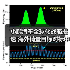 小鹏汽车全球化战略提速 海外销量目标对标中国市场(图4) 小鹏汽车全球化战略提速 海外销量目标对标中国市场(图4)