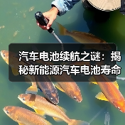 汽车电池续航之谜:揭秘新能源汽车电池寿命真相(图4) 汽车电池续航之谜:揭秘新能源汽车电池寿命真相(图4)