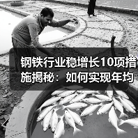 钢铁行业稳增长10项措施揭秘:如何实现年均4%增长?(图2) 钢铁行业稳增长10项措施揭秘:如何实现年均4%增长?(图2)