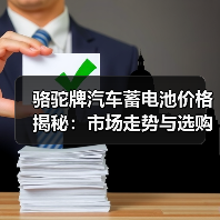 骆驼牌汽车蓄电池价格揭秘:市场走势与选购指南(图2) 骆驼牌汽车蓄电池价格揭秘:市场走势与选购指南(图2)