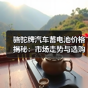 骆驼牌汽车蓄电池价格揭秘:市场走势与选购指南(图4) 骆驼牌汽车蓄电池价格揭秘:市场走势与选购指南(图4)