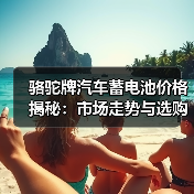 骆驼牌汽车蓄电池价格揭秘:市场走势与选购指南(图3) 骆驼牌汽车蓄电池价格揭秘:市场走势与选购指南(图3)