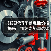 骆驼牌汽车蓄电池价格揭秘：市场走势与选购指南