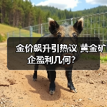金价飙升引热议 黄金矿企盈利几何?(图1) 金价飙升引热议 黄金矿企盈利几何?(图1)