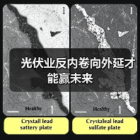 光伏业反内卷向外延才能赢未来（图3）